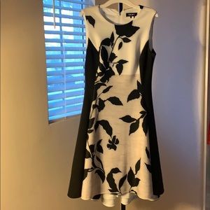 DKNY Dress Size 2 (NWOT)